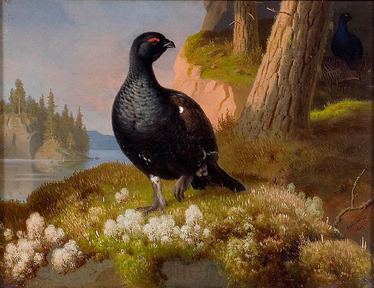 Ferdinand von Wright Black Grouses 1864